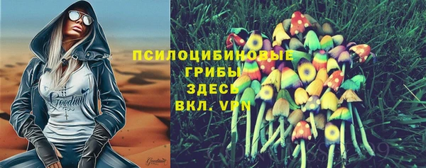 дживик Баксан