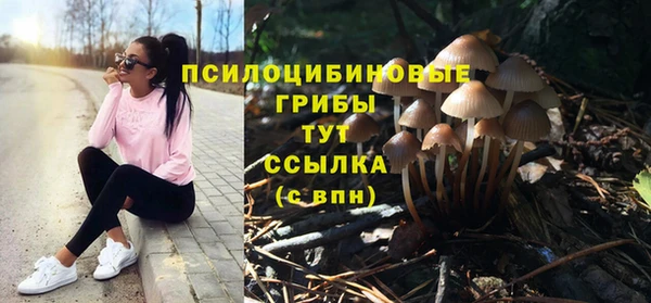 гидра Слюдянка