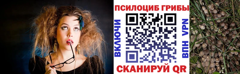 Псилоцибиновые грибы мухоморы  Теберда 